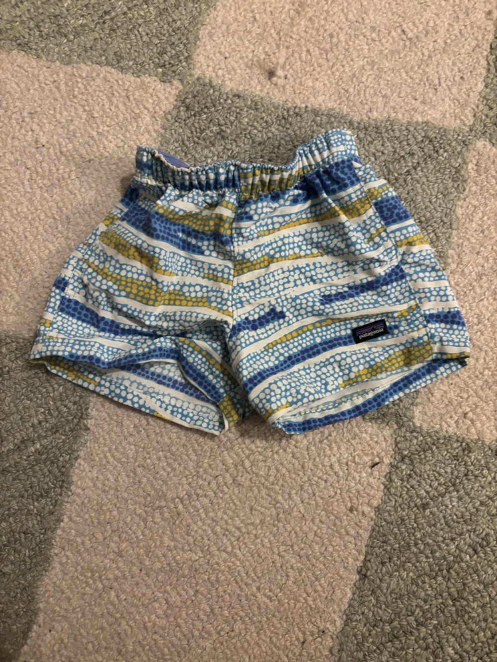 Patagonia Women's Blue, Green & White Patterned Athletic Shorts